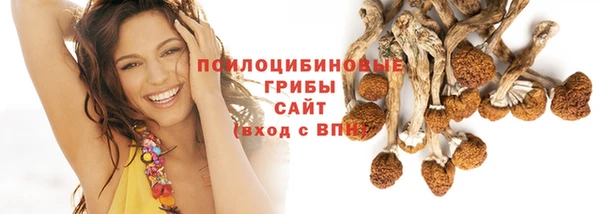 гашик Саяногорск