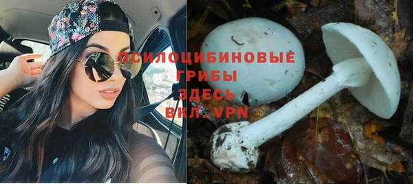 индика Армянск