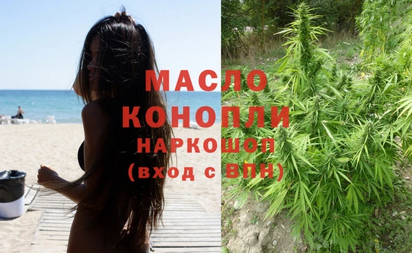 индика Армянск