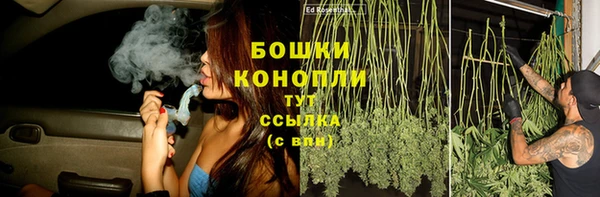 амф Арсеньев