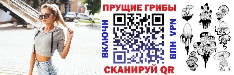 Псилоцибиновые грибы Cubensis  как найти наркотики  Белозерск 